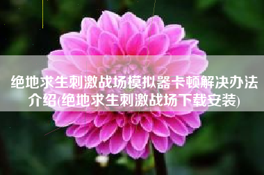 绝地求生刺激战场模拟器卡顿解决办法介绍(绝地求生刺激战场下载安装)