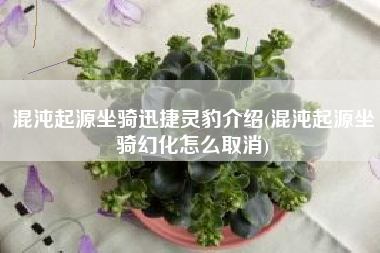 混沌起源坐骑迅捷灵豹介绍(混沌起源坐骑幻化怎么取消)