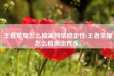 王者荣耀怎么检测网络稳定性(王者荣耀怎么检测出代练)