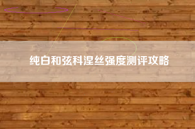 纯白和弦科涅丝强度测评攻略