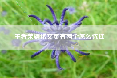 王者荣耀铭文页有两个怎么选择