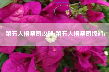 第五人格祭司攻略(第五人格祭司惊鸿)