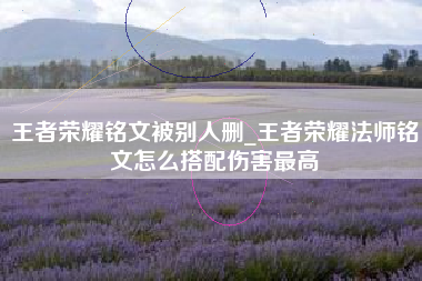 王者荣耀铭文被别人删_王者荣耀法师铭文怎么搭配伤害最高