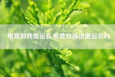 电竞游戏奥运会,电竞应该进奥运会吗