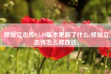 修仙立志传0.5.19版本更新了什么(修仙立志传怎么修改钱)