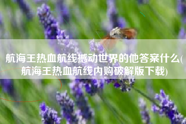 航海王热血航线撼动世界的他答案什么(航海王热血航线内购破解版下载)