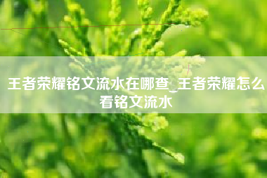 王者荣耀铭文流水在哪查_王者荣耀怎么看铭文流水
