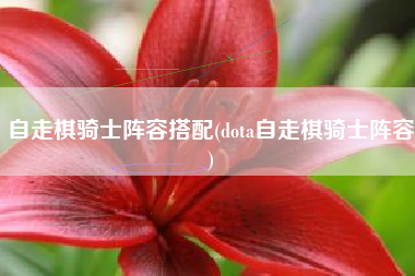 自走棋骑士阵容搭配(dota自走棋骑士阵容)