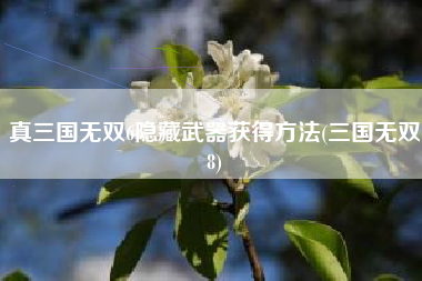 真三国无双6隐藏武器获得方法(三国无双8)