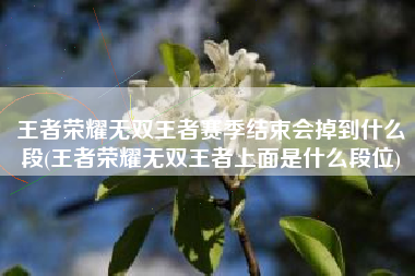 王者荣耀无双王者赛季结束会掉到什么段(王者荣耀无双王者上面是什么段位)