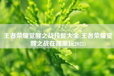 王者荣耀觉醒之战技能大全(王者荣耀觉醒之战在哪里玩2022)