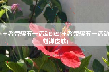 王者荣耀五一活动2022(王者荣耀五一活动刘禅皮肤)