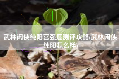 武林闲侠纯阳宫强度测评攻略(武林闲侠纯阳怎么样)