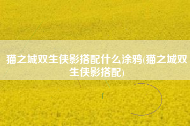 猫之城双生侠影搭配什么涂鸦(猫之城双生侠影搭配)