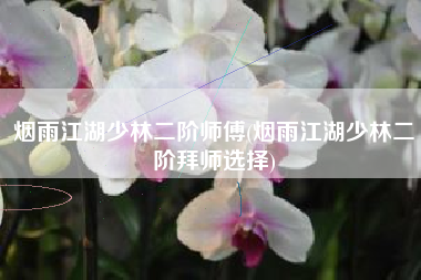 烟雨江湖少林二阶师傅(烟雨江湖少林二阶拜师选择)