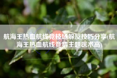 航海王热血航线竞技场躲反技巧分享(航海王热血航线竞猜主题医术高)