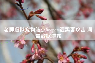 老牌虚拟宠物站点Neopets遭黑客攻击 海量数据泄露