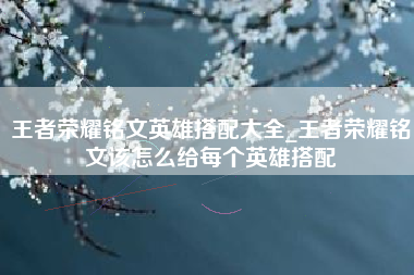 王者荣耀铭文英雄搭配大全_王者荣耀铭文该怎么给每个英雄搭配