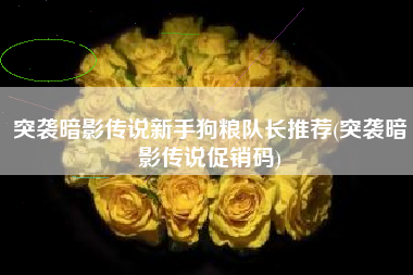 突袭暗影传说新手狗粮队长推荐(突袭暗影传说促销码)