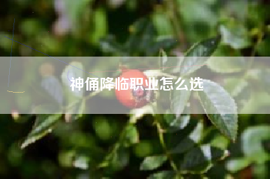 神俑降临职业怎么选