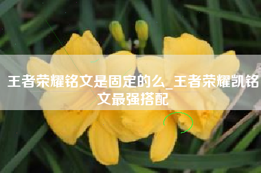 王者荣耀铭文是固定的么_王者荣耀凯铭文最强搭配