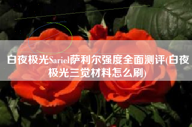 白夜极光Sariel萨利尔强度全面测评(白夜极光三觉材料怎么刷)