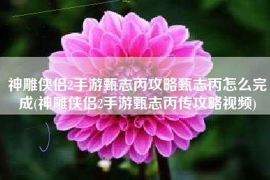神雕侠侣2手游甄志丙攻略甄志丙怎么完成(神雕侠侣2手游甄志丙传攻略视频)