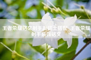 王者荣耀铭文射手跟战士搭配_王者荣耀射手最强铭文