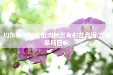 玛娜希斯回响蟹肉煲类有那些食谱(玛娜希斯回响)