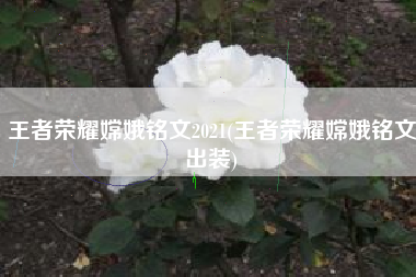 王者荣耀嫦娥铭文2021(王者荣耀嫦娥铭文出装)