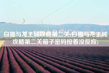 白猫与龙王城攻略第二关(白猫与龙王城攻略第二关箱子密码按着没反应)