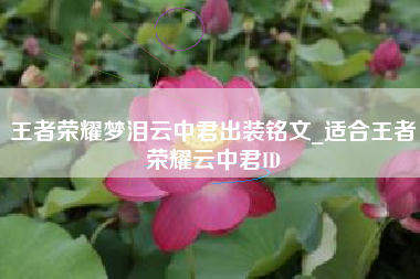 王者荣耀梦泪云中君出装铭文_适合王者荣耀云中君ID