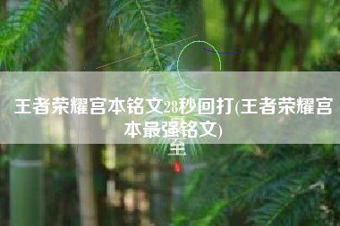 王者荣耀宫本铭文28秒回打(王者荣耀宫本最强铭文)
