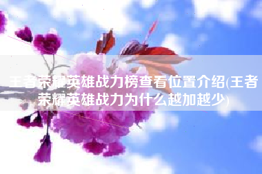 王者荣耀英雄战力榜查看位置介绍(王者荣耀英雄战力为什么越加越少)