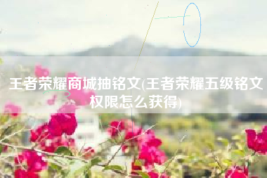 王者荣耀商城抽铭文(王者荣耀五级铭文权限怎么获得)