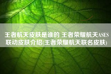 王者航天皮肤是谁的 王者荣耀航天ASES联动皮肤介绍(王者荣耀航天联名皮肤)