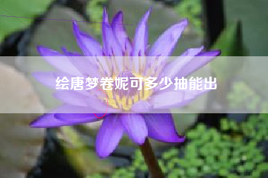 绘唐梦卷妮可多少抽能出
