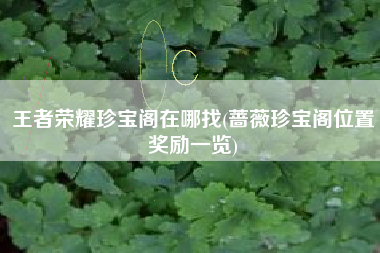 王者荣耀珍宝阁在哪找(蔷薇珍宝阁位置奖励一览)