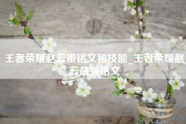 王者荣耀赵云带铭文和技能_王者荣耀赵云最强铭文