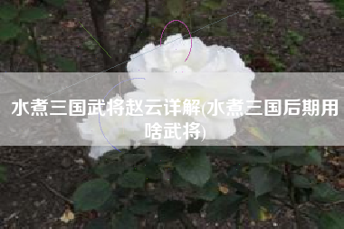 水煮三国武将赵云详解(水煮三国后期用啥武将)