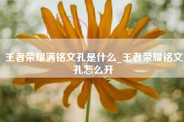 王者荣耀满铭文孔是什么_王者荣耀铭文孔怎么开