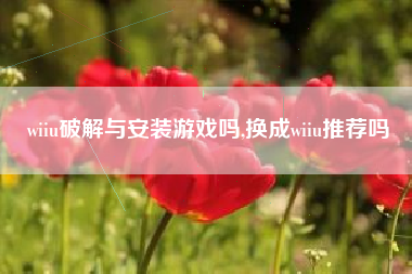 wiiu破解与安装游戏吗,换成wiiu推荐吗