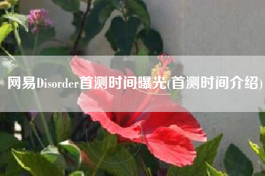 网易Disorder首测时间曝光(首测时间介绍)