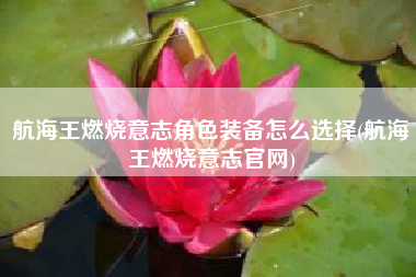 航海王燃烧意志角色装备怎么选择(航海王燃烧意志官网)