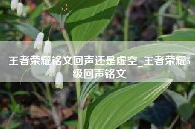王者荣耀铭文回声还是虚空_王者荣耀5级回声铭文