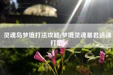 灵魂岛梦境打法攻略(梦境灵魂暴君逃课打法)