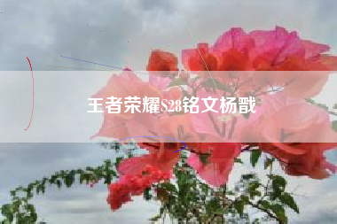 王者荣耀S28铭文杨戬