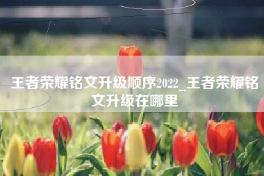 王者荣耀铭文升级顺序2022_王者荣耀铭文升级在哪里