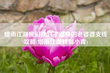 烟雨江湖我们找到了湿身的老婆婆支线攻略(烟雨江湖找到小青)