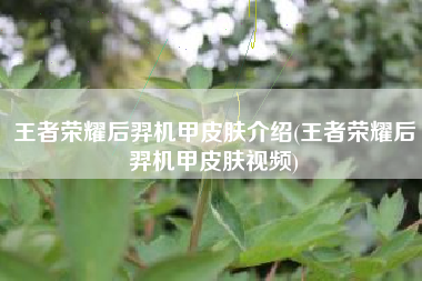 王者荣耀后羿机甲皮肤介绍(王者荣耀后羿机甲皮肤视频)